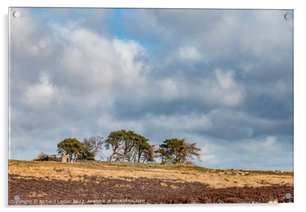 Scarney Hill, Romaldkirk Moor, Teesdale Acrylic by Richard Laidler