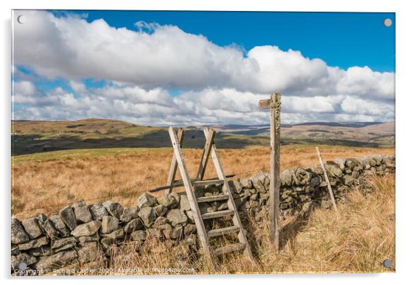 Fingerpost and Ladder Stile Acrylic by Richard Laidler