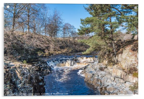 Tees Cascade at Low Force from Wynch Bridge Acrylic by Richard Laidler