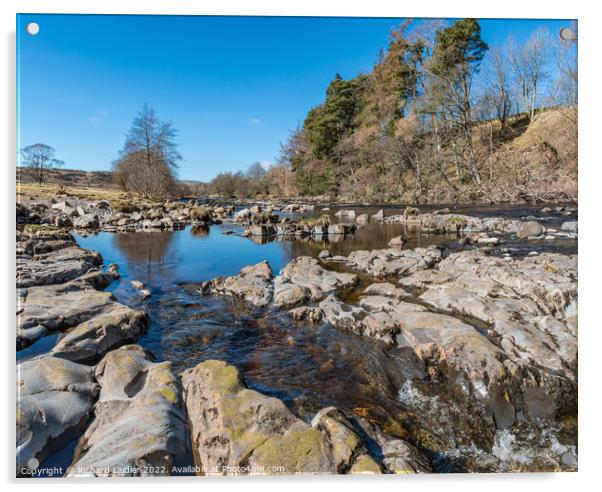 River Tees upstream from Low Force Acrylic by Richard Laidler