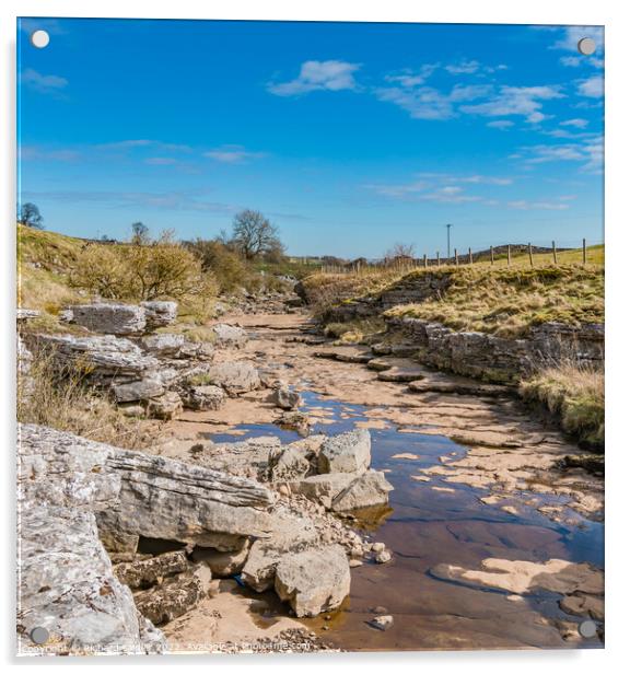 River Greta at Gods Bridge on the Pennine Way near Bowes Acrylic by Richard Laidler