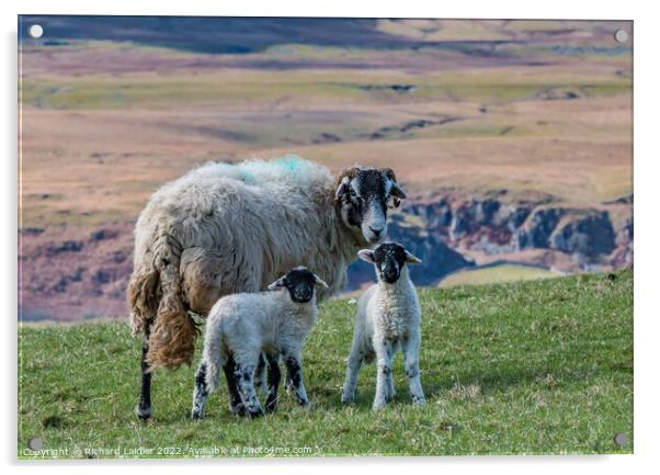 Mum plus Two Acrylic by Richard Laidler