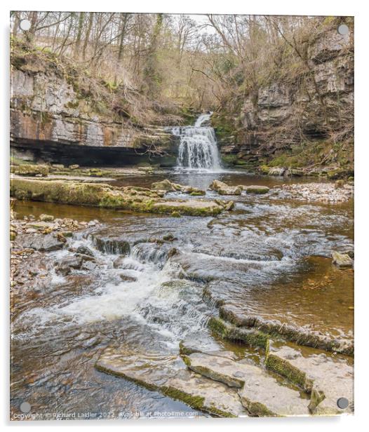 Cauldron Falls West Burton Wensleydale Yorkshire Dales Acrylic by Richard Laidler