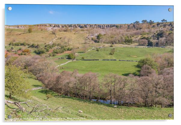 Clints Scar, Marske, North Yorkshire from Skelton Lane Acrylic by Richard Laidler