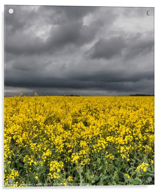 Yellow Rape Field and Sinister Sky Acrylic by Richard Laidler