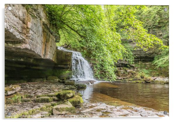 Cauldron Force Waterfall, West Burton, Wensleydale, Yorkshire Dales Acrylic by Richard Laidler