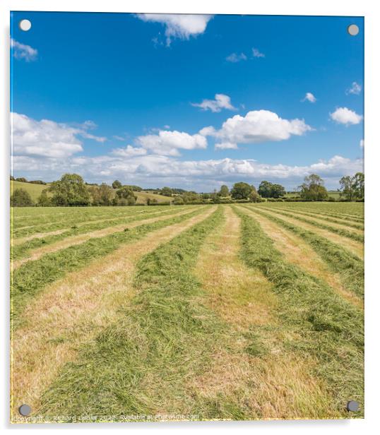 Haymaking at Hutton Magna (2) Acrylic by Richard Laidler