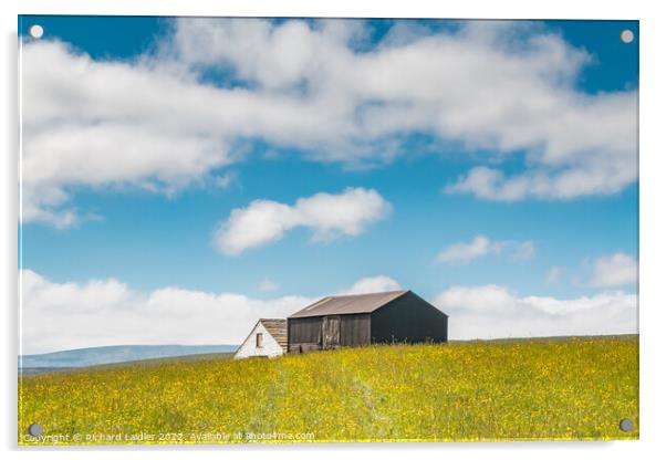 Barns in a Hay Meadow, Teesdale Acrylic by Richard Laidler