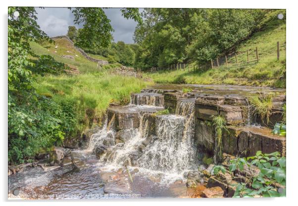 Waterfall on Ettersgill beck in Summer Sunshine Acrylic by Richard Laidler
