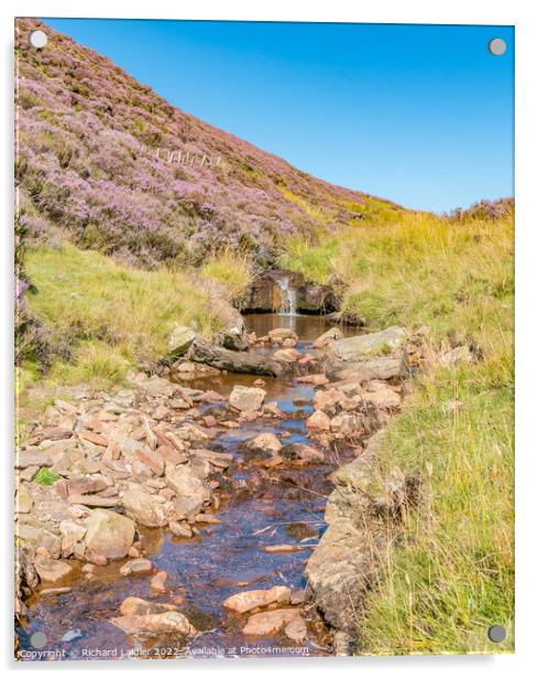 Little Eggleshope Beck, Teesdale Acrylic by Richard Laidler