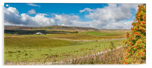 Cronkley Scar Panorama, Upper Teesdale  Acrylic by Richard Laidler