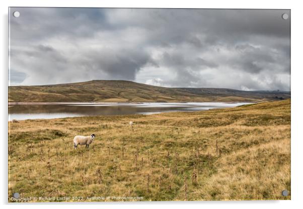 Meldon Hill and Cow Green Reservoir Acrylic by Richard Laidler