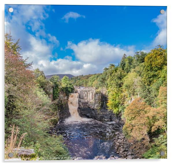 Autumn Tints at High Force Waterfall, Teesdale Acrylic by Richard Laidler