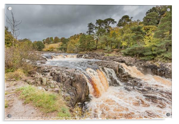 Autumn Brighness at Low Force Waterfall, Teesdale Acrylic by Richard Laidler