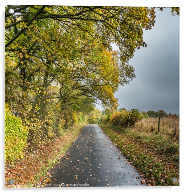 Autumn Brightness at Wycliffe, Teesdale Acrylic by Richard Laidler