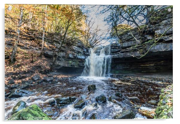 Autumn at Summerhill Force Waterfall, Teesdale Acrylic by Richard Laidler