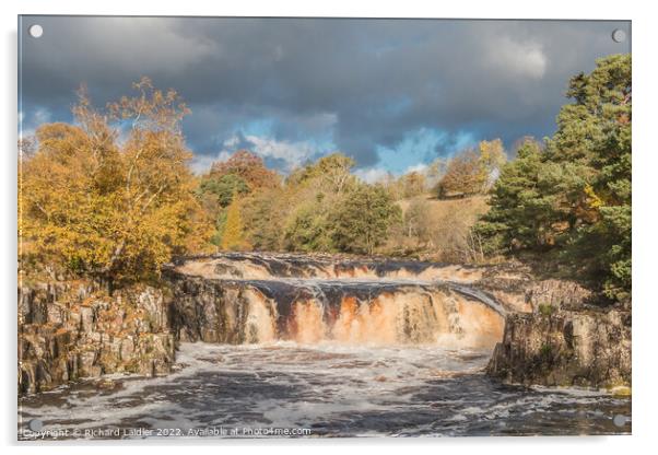 Autumn Splendour at Low Force Waterfall, Teesdale Acrylic by Richard Laidler