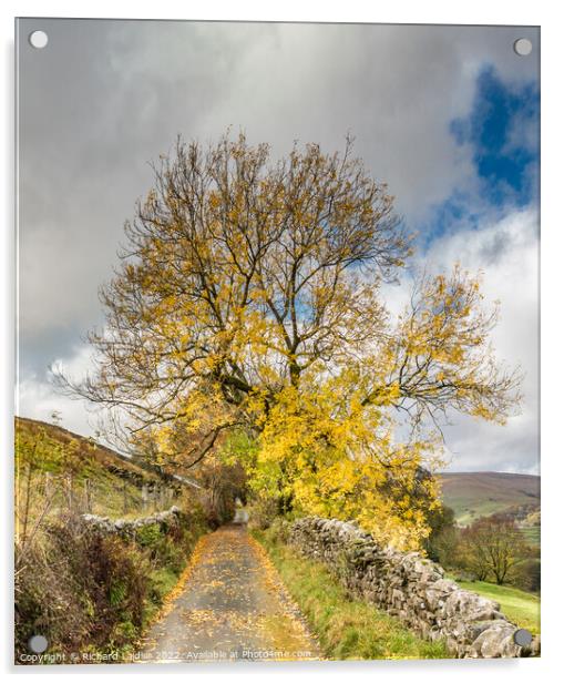 Lane near Gunnerside, Yorkshire Dales, in Autumn Acrylic by Richard Laidler