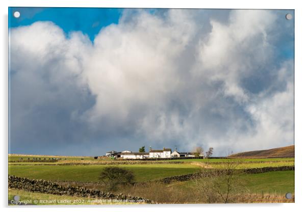 Wool Pits Hill Farm, Ettersgill, Teesdale Acrylic by Richard Laidler