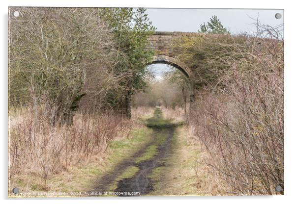 The Tees Railway Path at Cotherstone Acrylic by Richard Laidler