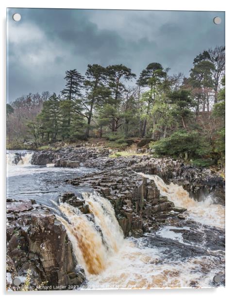 A Damp Day at Low Force Waterfall in Spring (1) Acrylic by Richard Laidler
