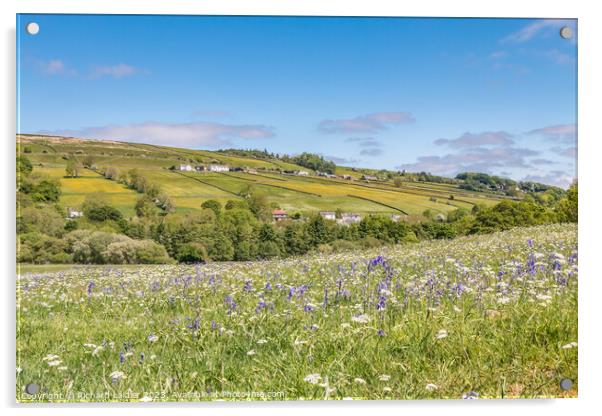 Middle Side, Teesdale, from the Pennine Way Acrylic by Richard Laidler