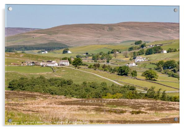 Forest in Teesdale from Holwick Fell Acrylic by Richard Laidler