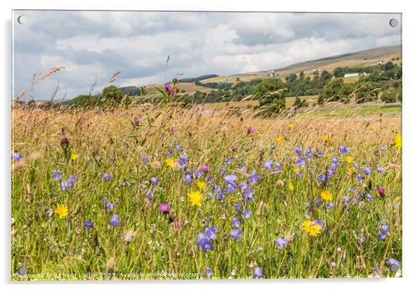 Summer Flower Meadow near Holwick, Teesdale Acrylic by Richard Laidler