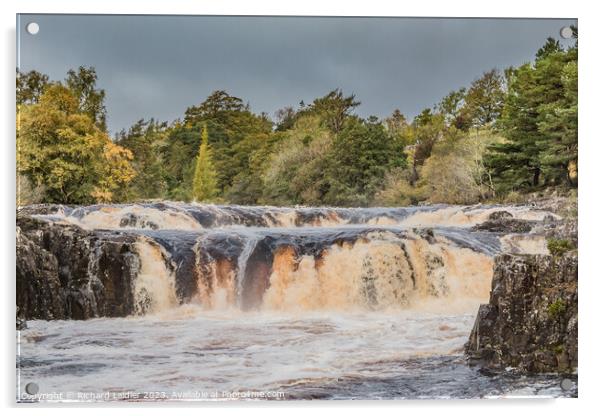 Low Force Waterfall in Spate after Storm Babet October 2023 Acrylic by Richard Laidler