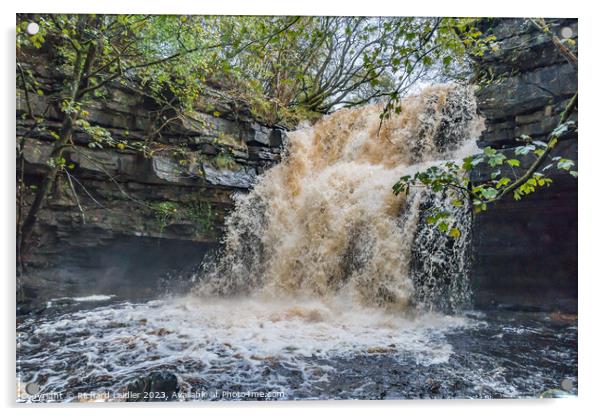 Summerhill Force Waterfall in Spate after Storm Babet Oct 2023 Acrylic by Richard Laidler