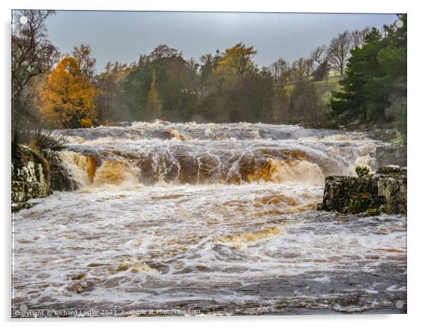 Low Force Waterfall in Full Flood after Storm Debi Nov 2023 Acrylic by Richard Laidler