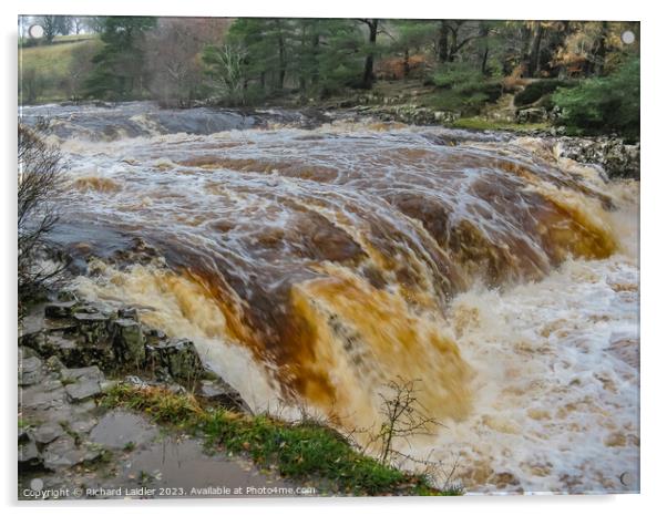 Low Force Waterfall, Teesdale, in full flood from the Pennine Way Acrylic by Richard Laidler