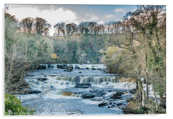 Aysgarth Upper Falls, Yorkshire Dales Acrylic by Richard Laidler