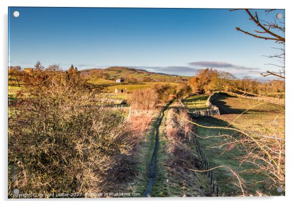 Winter Sun on the Tees Railway Walk at Mickleton Acrylic by Richard Laidler