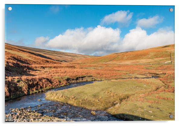 Hudeshope Beck at Coldberry, Teesdale Acrylic by Richard Laidler