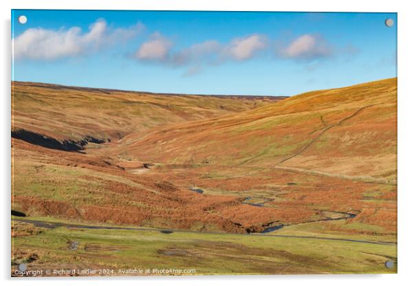 Towards Hudeshope Head, Teesdale Acrylic by Richard Laidler