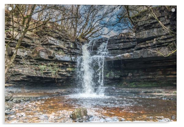 Summerhill Force Waterfall and Gibson's Cave Acrylic by Richard Laidler