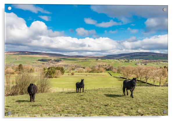 The Bail Hill Trio Acrylic by Richard Laidler