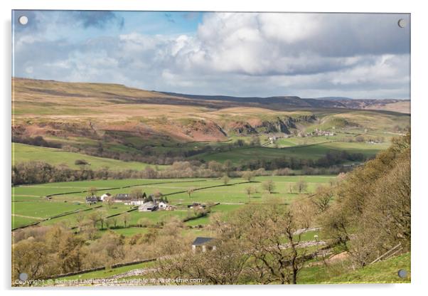 Towards Holwick from Middle Side, Teesdale Acrylic by Richard Laidler