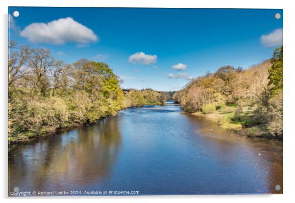 River Tees Upstream from Silver Bridge, Barnard Castle, Teesdale Acrylic by Richard Laidler
