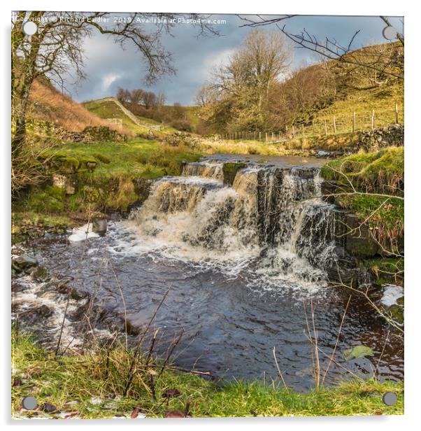 Waterfall on Ettersgill Beck, Upper Teesdale Acrylic by Richard Laidler