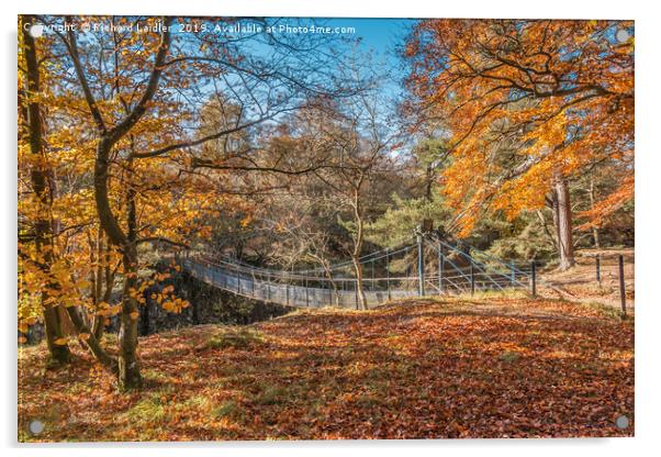 Autumn Woodland at Wynch Bridge, Teesdale Acrylic by Richard Laidler