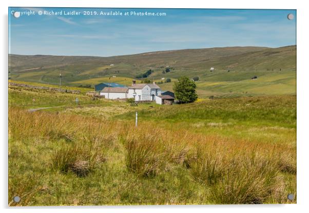 Peghorn Lodge Farm, Harwood, Upper Teesdale Acrylic by Richard Laidler