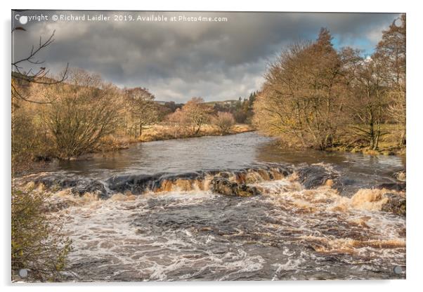 The River Tees near Forest in Teesdale, November Acrylic by Richard Laidler