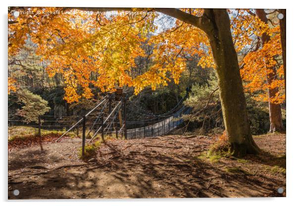 Autumn Woodland at Wynch Bridge, Teesdale Acrylic by Richard Laidler