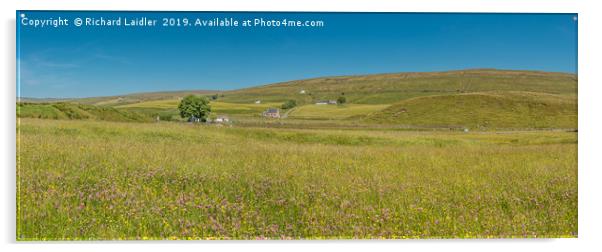 Teesdale Hay Meadows Panorama Acrylic by Richard Laidler
