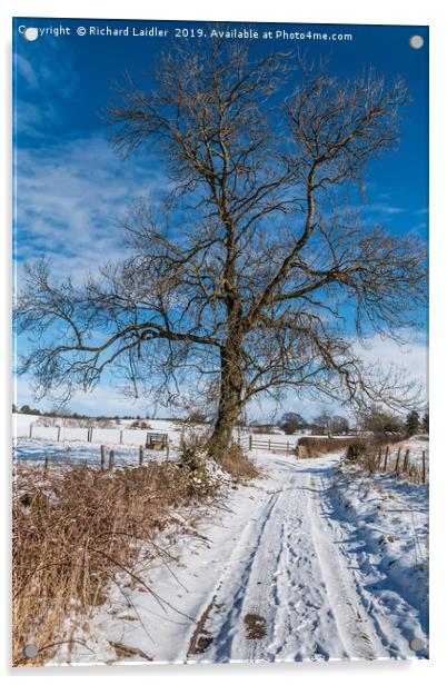 Snowy Lane and Ash Tree Silhouette Acrylic by Richard Laidler