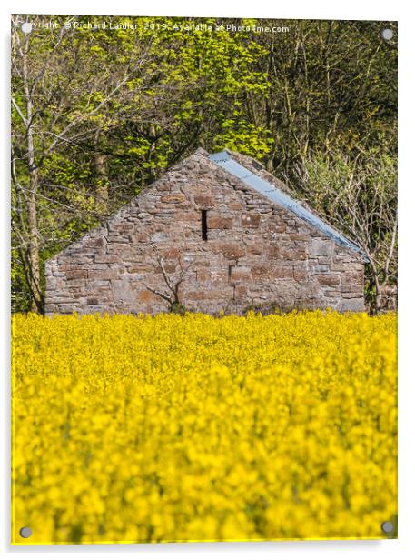 Old Barn and Flowering Rape Acrylic by Richard Laidler