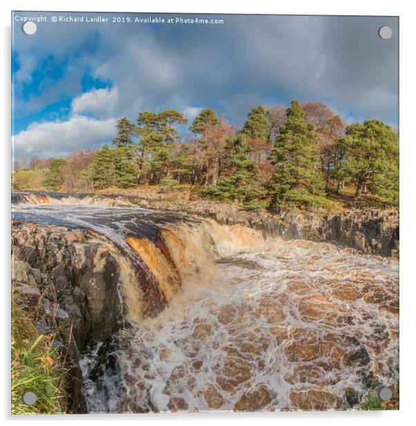 Swollen River Tees at Low Force Waterfall, Autumn Acrylic by Richard Laidler