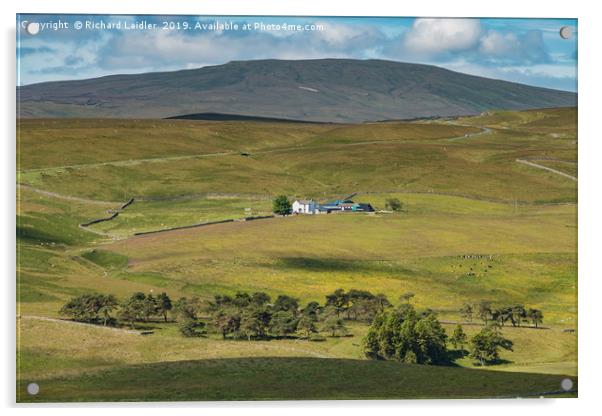 Peghorn Lodge Farm, Upper Teesdale Acrylic by Richard Laidler